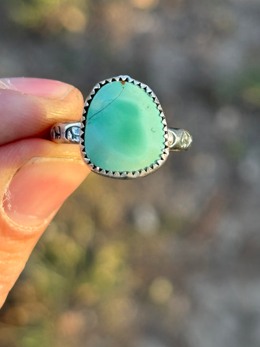 High Grade Kings Manassa size 8 1/4